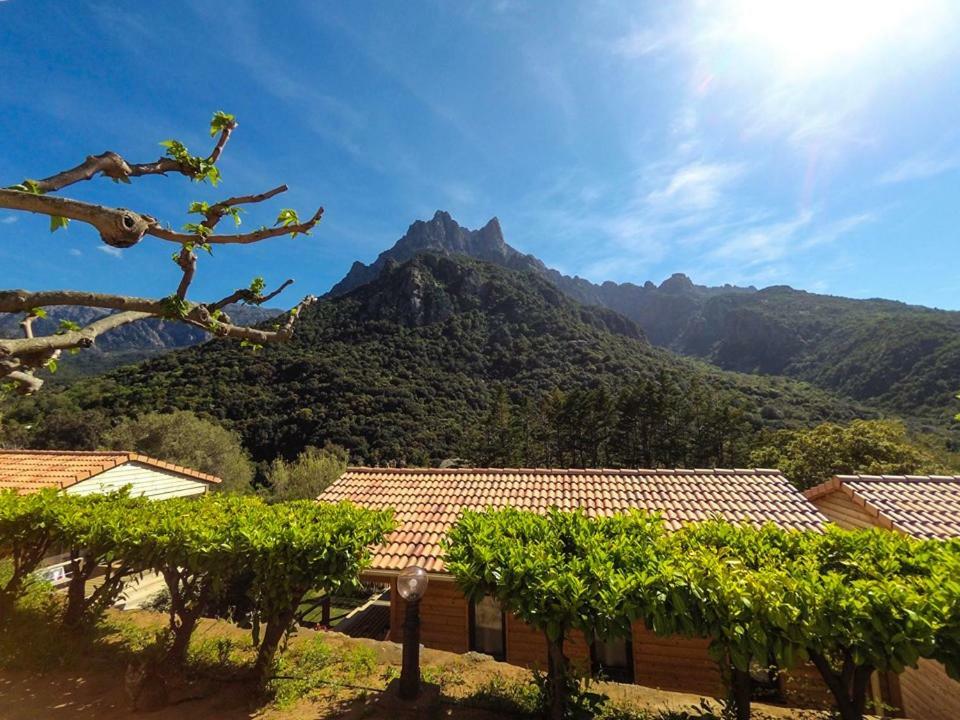 Camping Les Oliviers Porto  Экстерьер фото